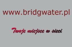 www.bridgwater.pl